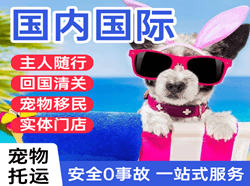 赤峰机场物流国际宠物托运 【国